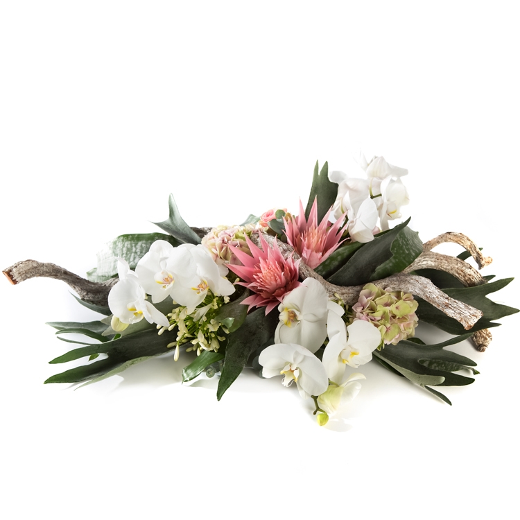 smaakvolle orchideeën