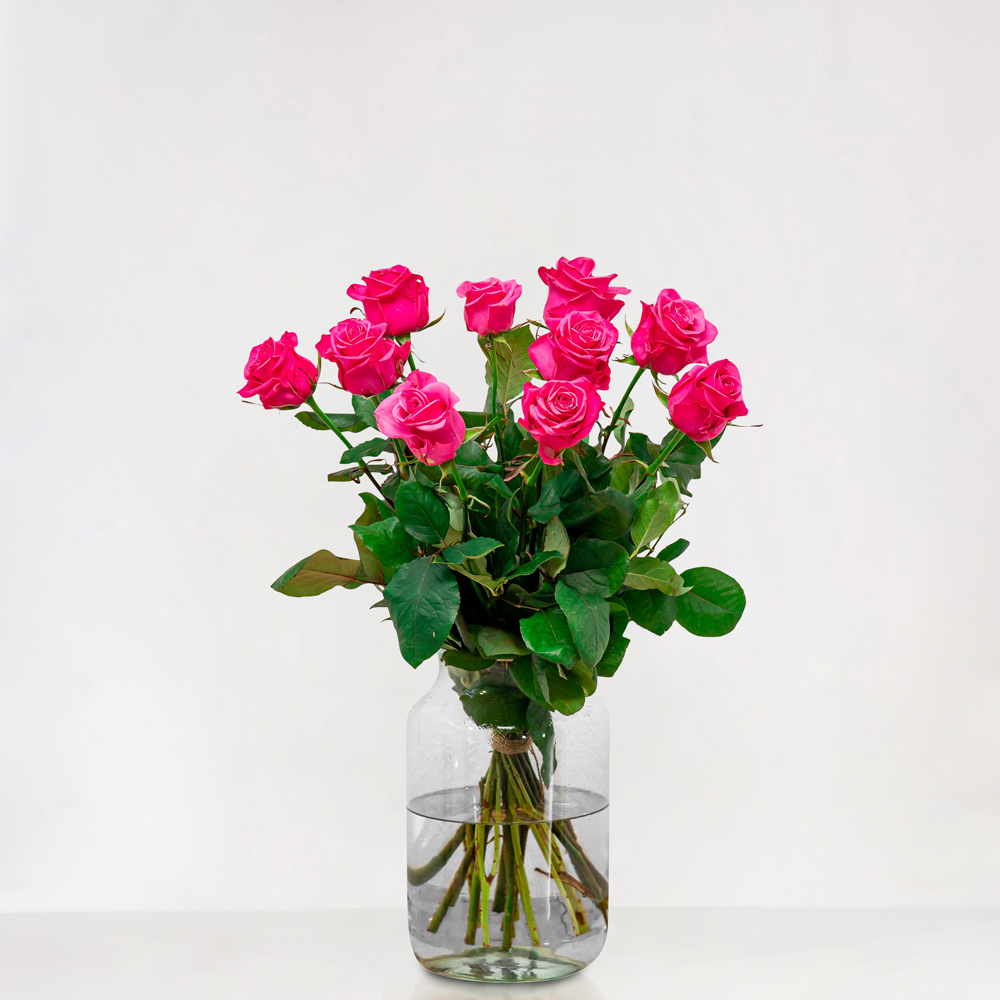 Roze Rozen